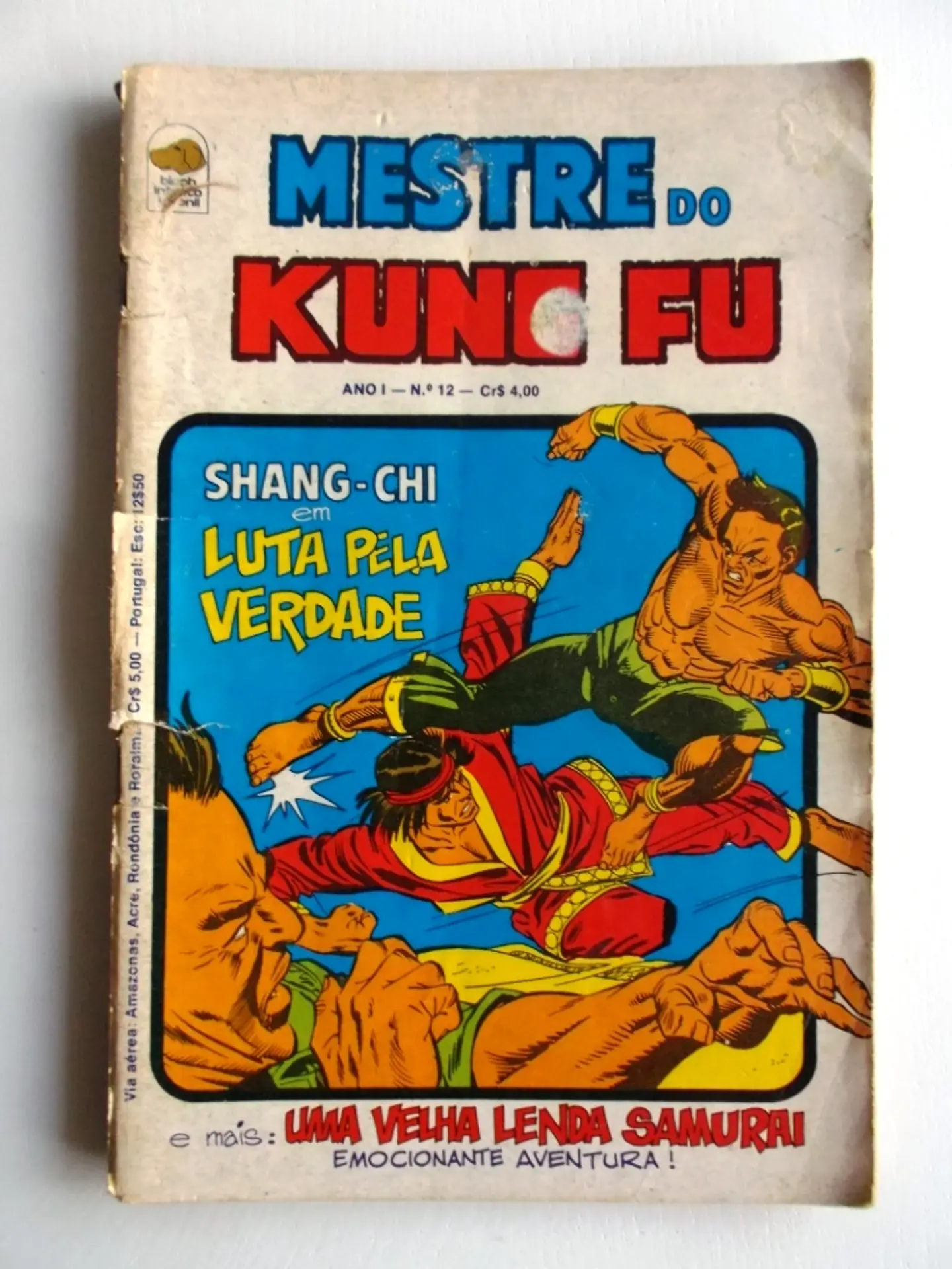 Mestre do Kung fu 12 1