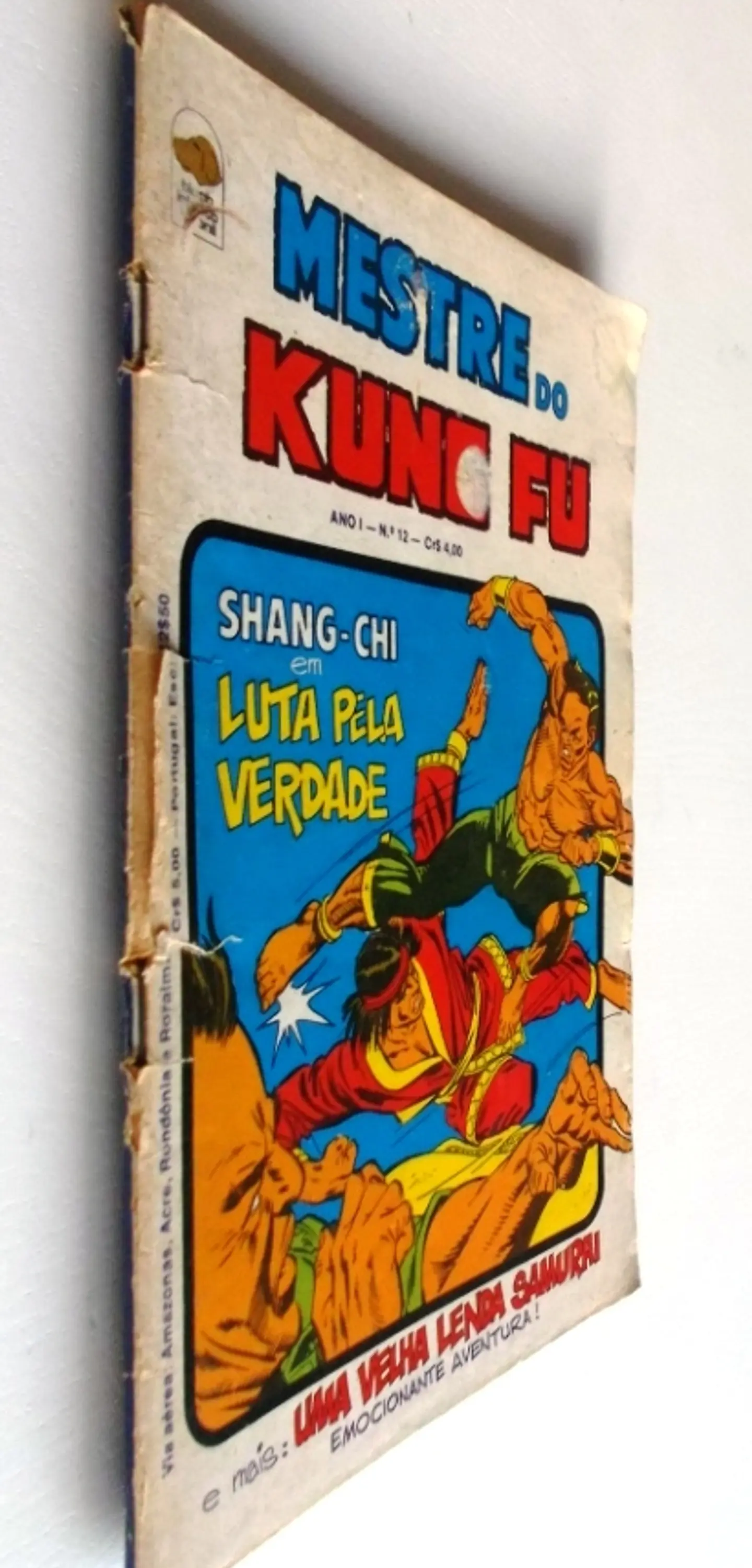 Mestre do Kung fu 12 3