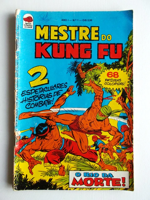 Mestre do Kung fu 04