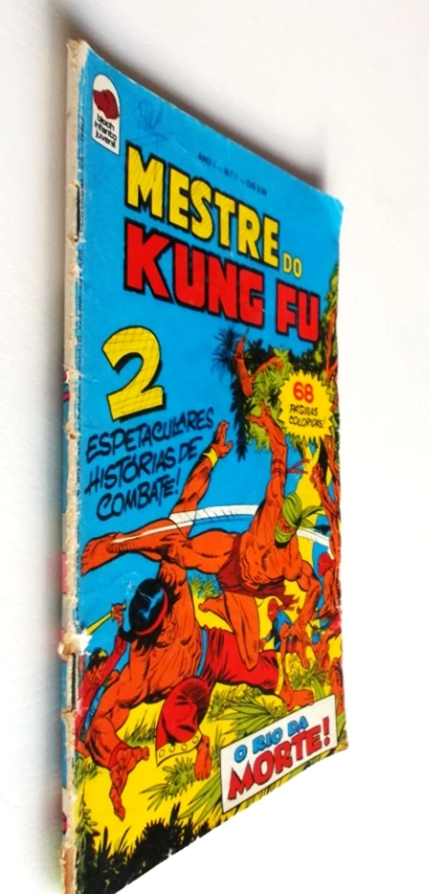 Mestre do Kung fu 04 3