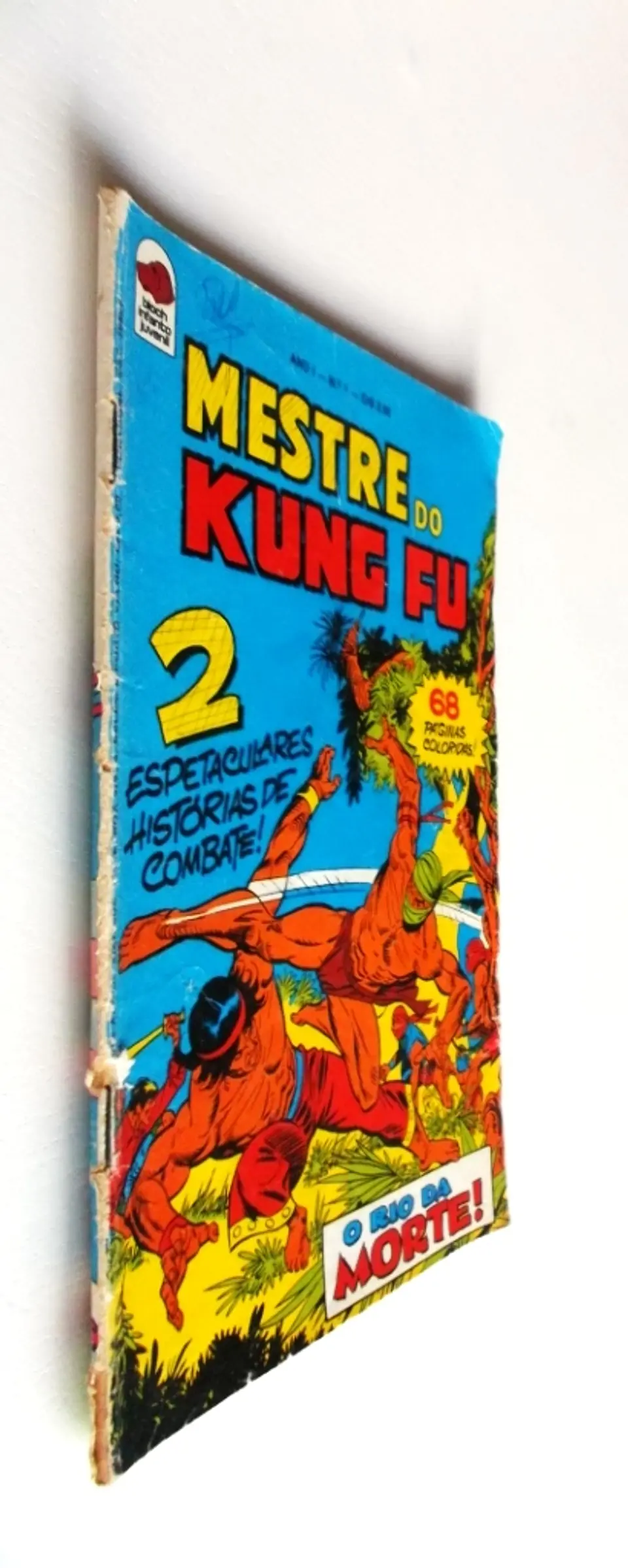 Mestre do Kung fu 04 3