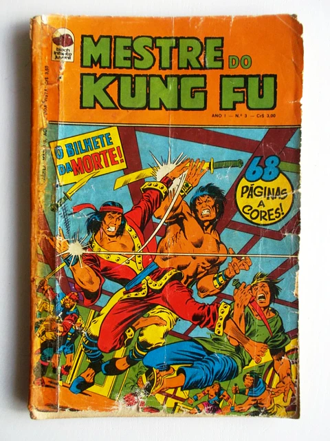 Mestre do Kung fu 03