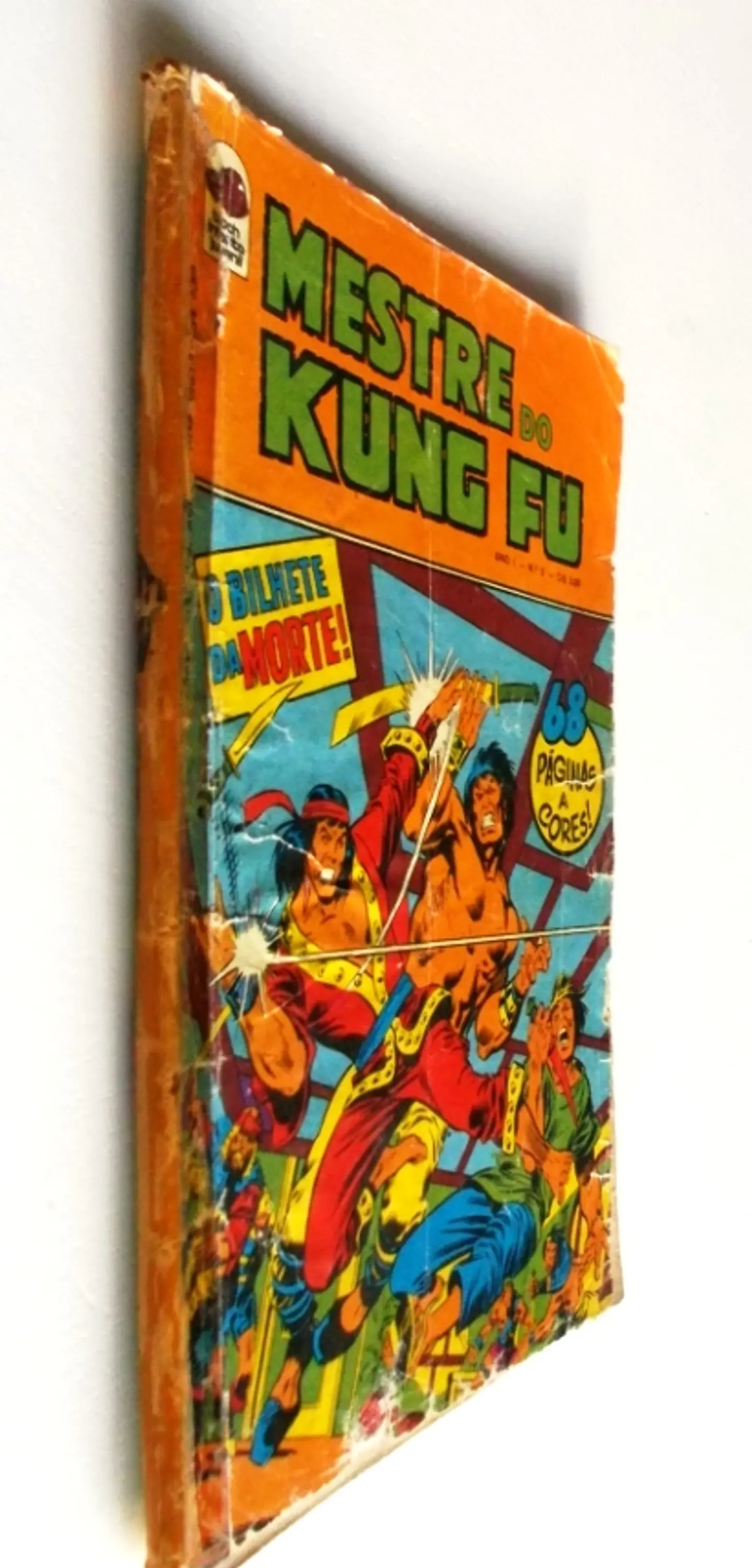 Mestre do Kung fu 03 2