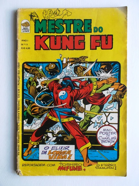 Mestre do Kung fu 11