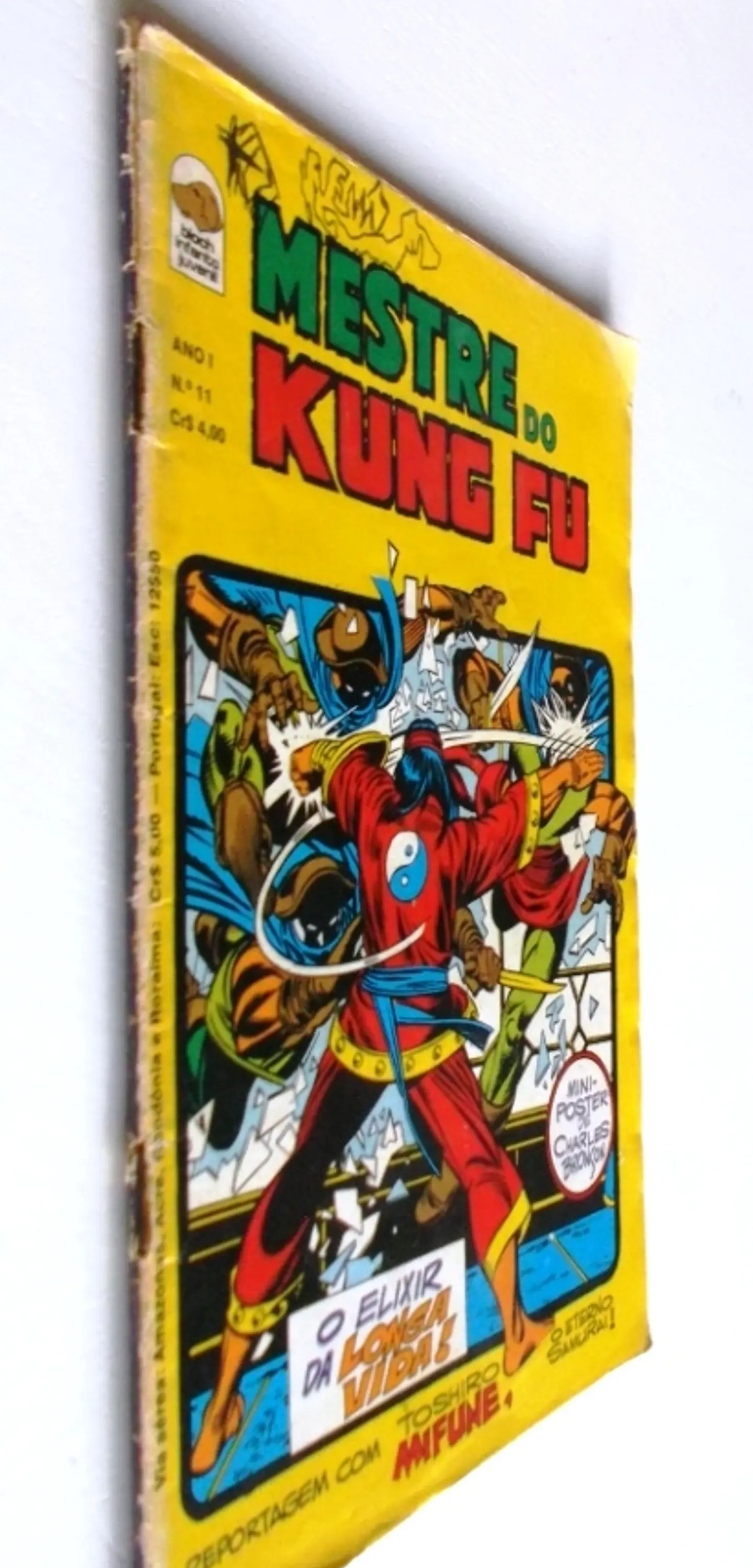 Mestre do Kung fu 11 3