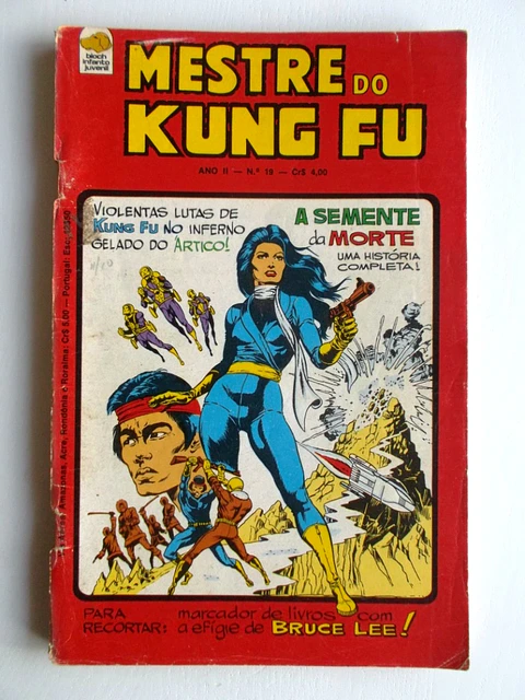 Mestre do Kung fu 19