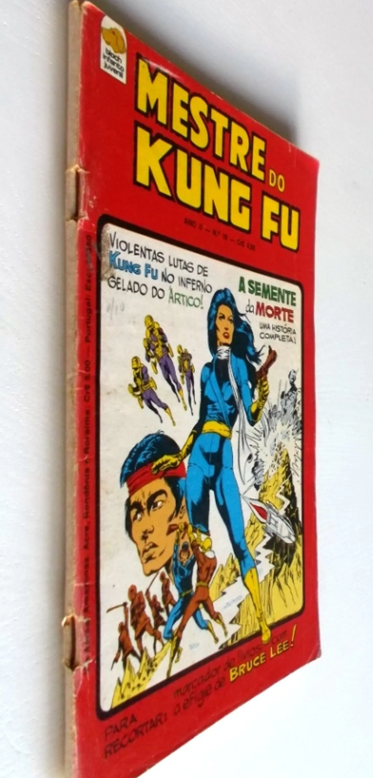Mestre do Kung fu 19 3