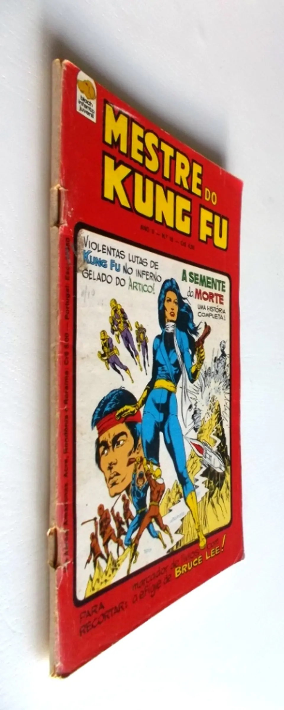 Mestre do Kung fu 19 3