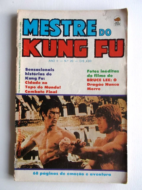 Mestre do Kung fu 20