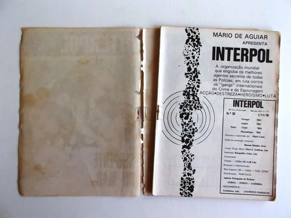 Interpol 33 4