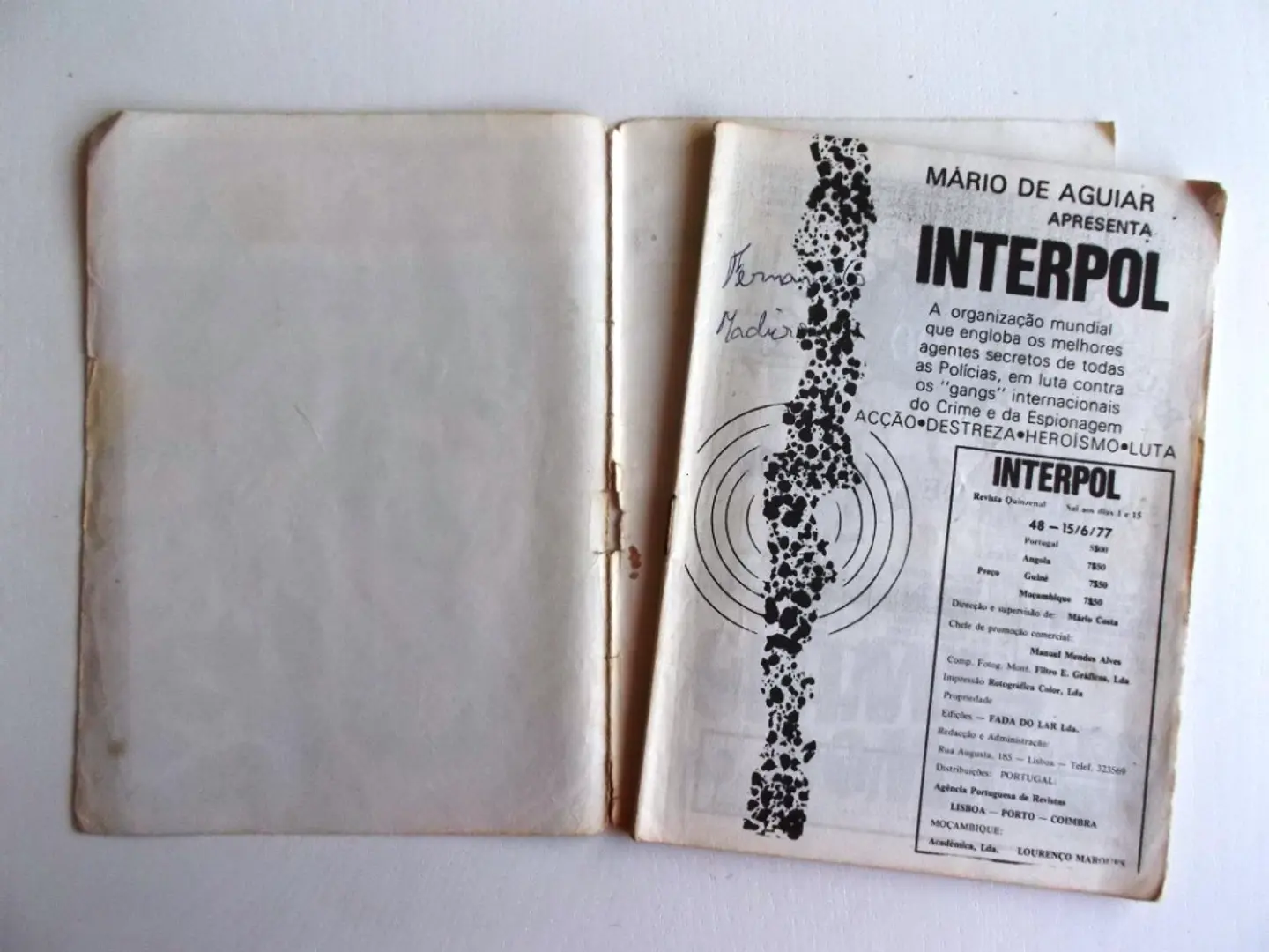Interpol 48 4