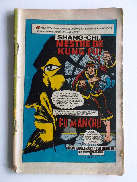 Mestre do Kung fu 01