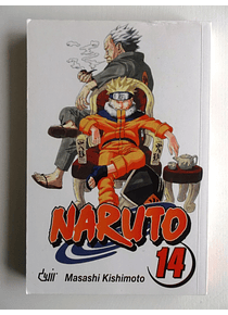 Naruto 14