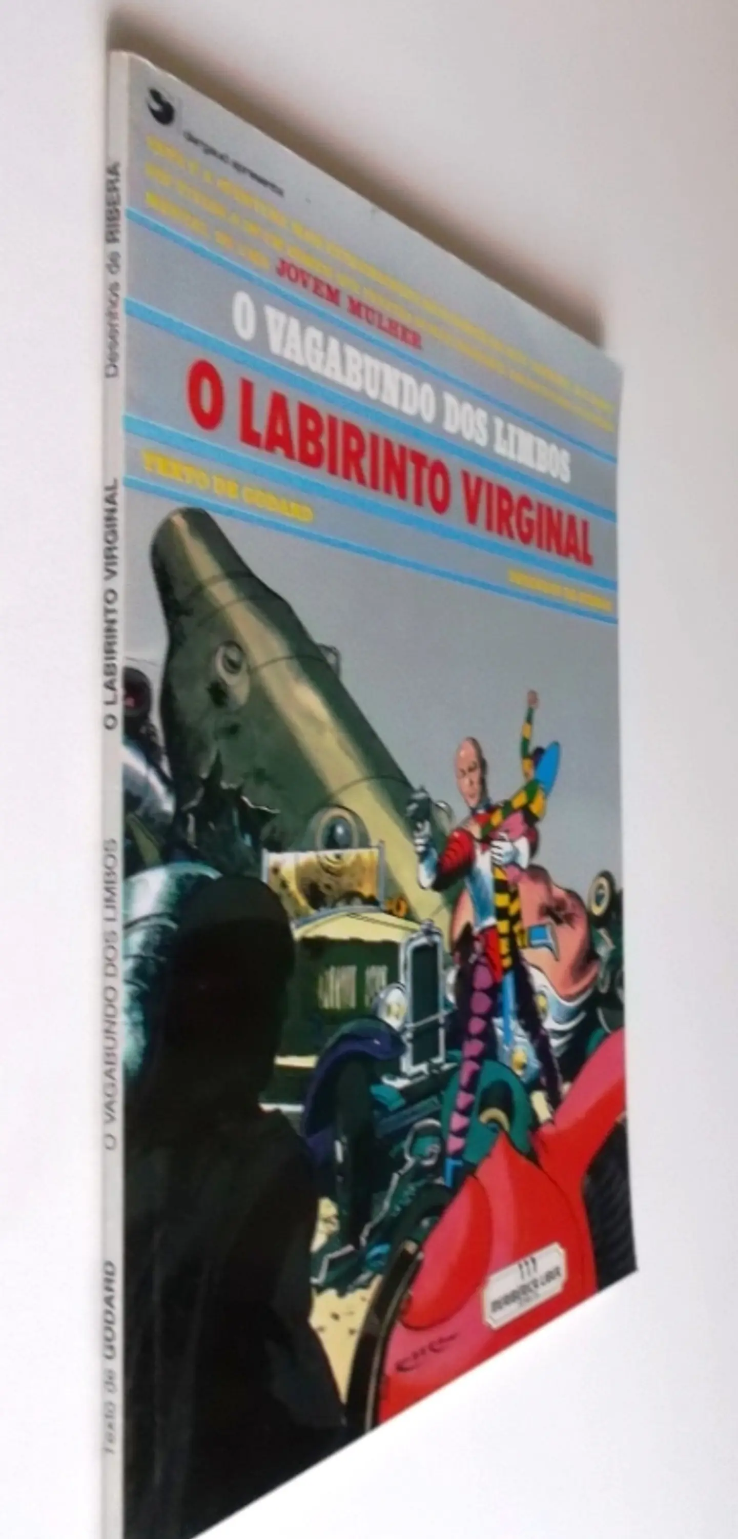 O Vagabundo dos Limbos - O Labirinto Virginal 3
