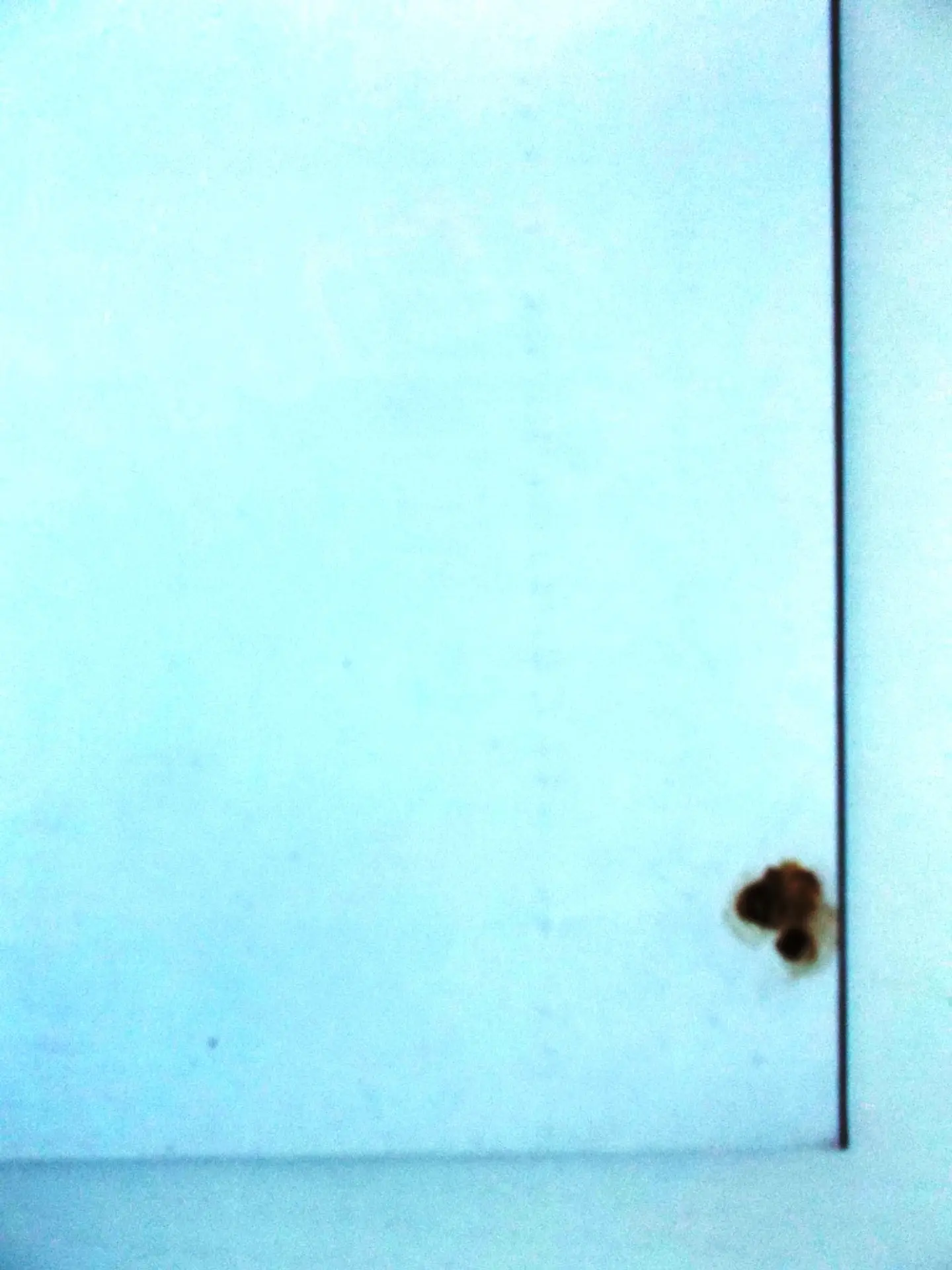 Crônicas Incongruentes 4