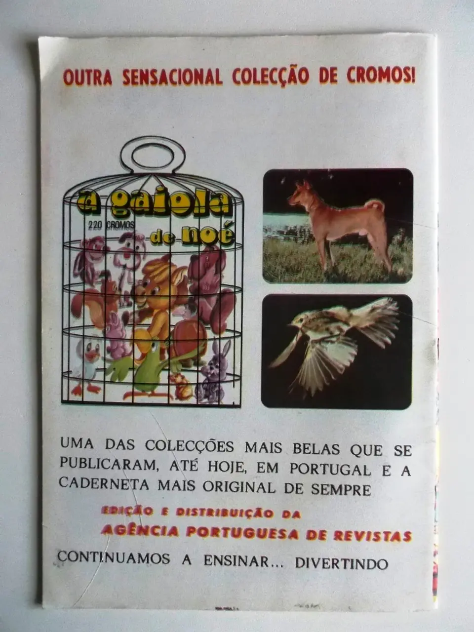Colecção Ciclone 105 2