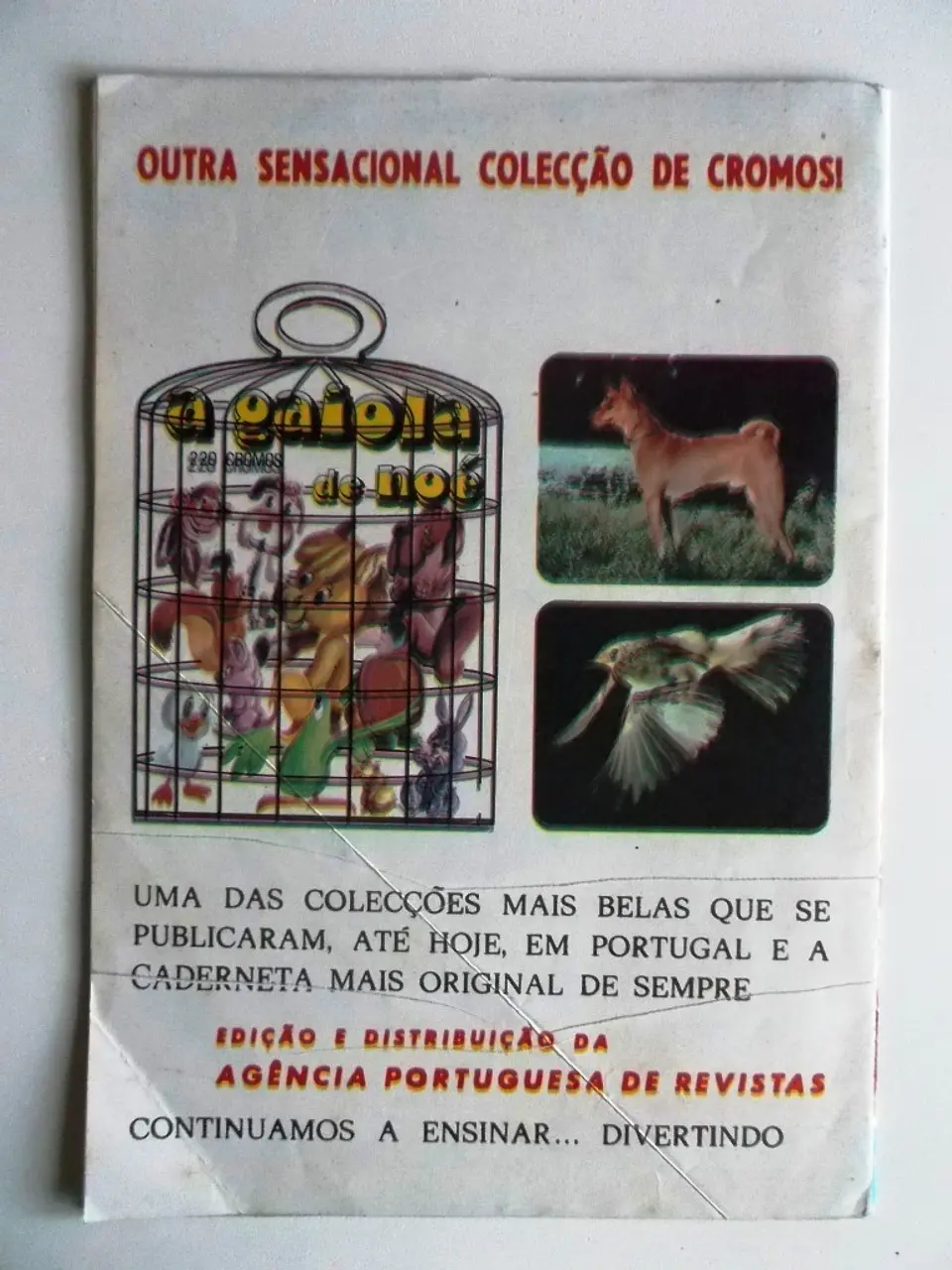 Flecha de Prata 23 2