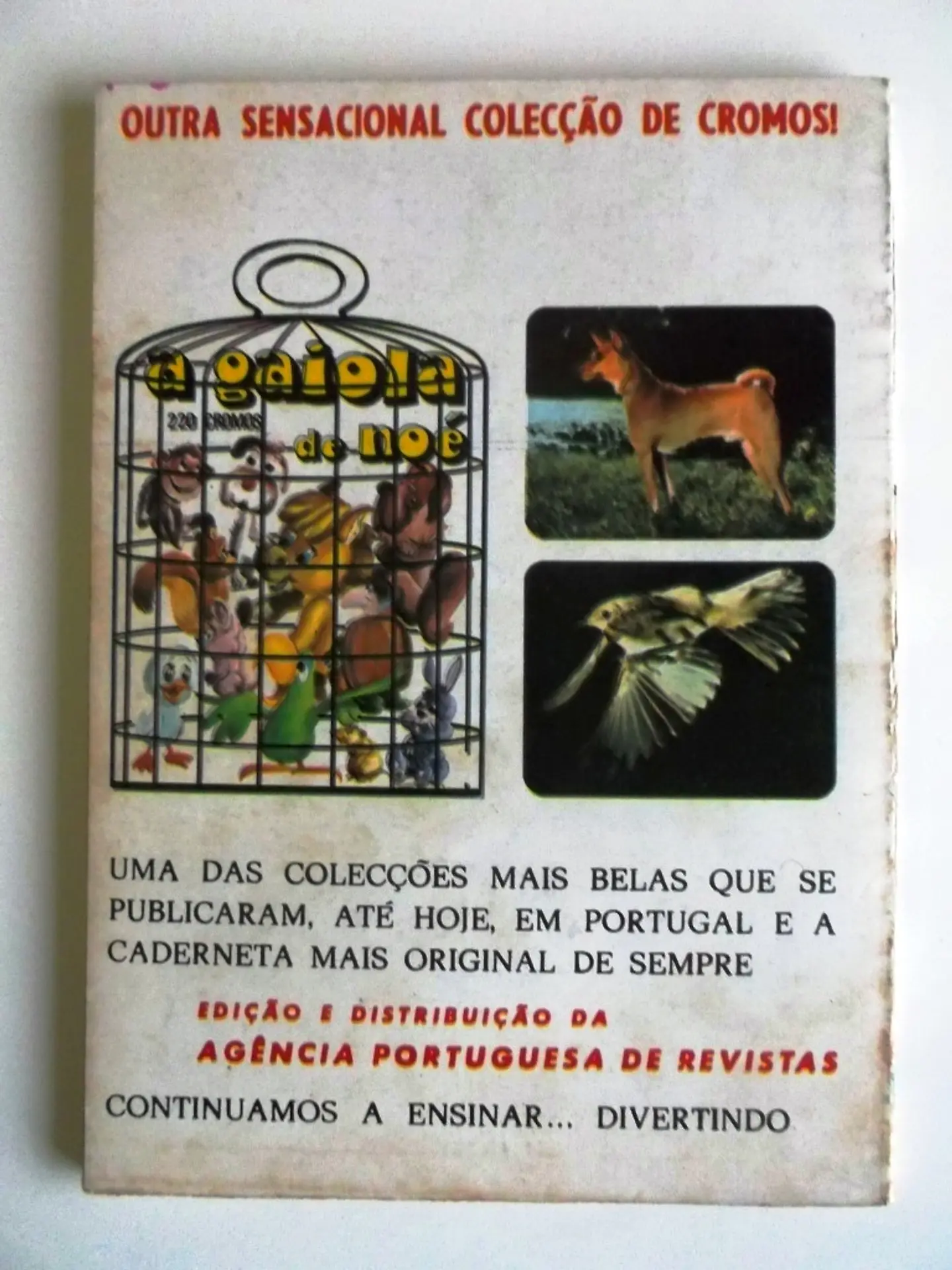 Colecção Águia 06 2