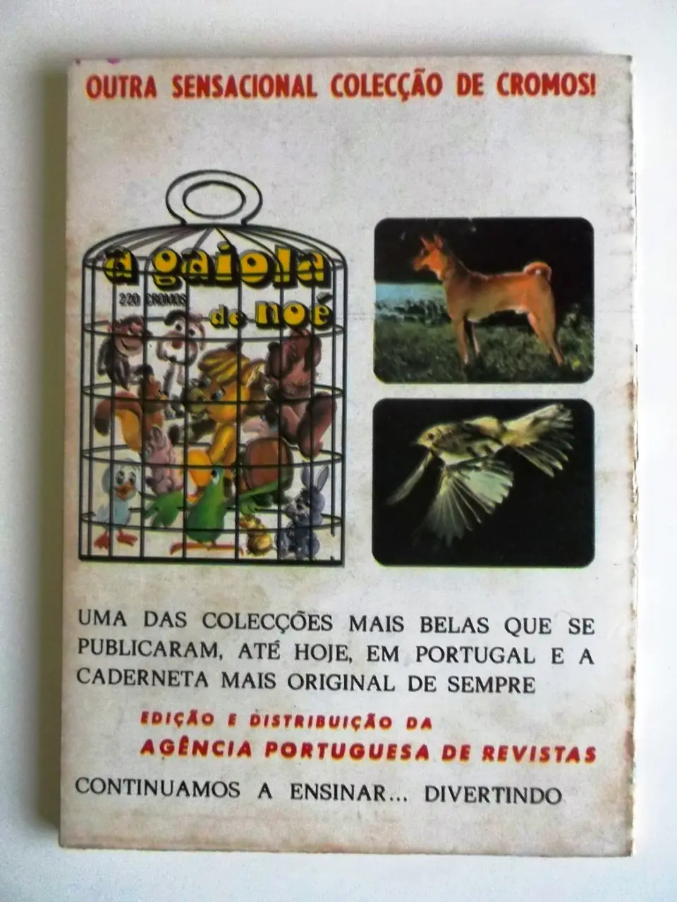 Colecção Águia 06 2