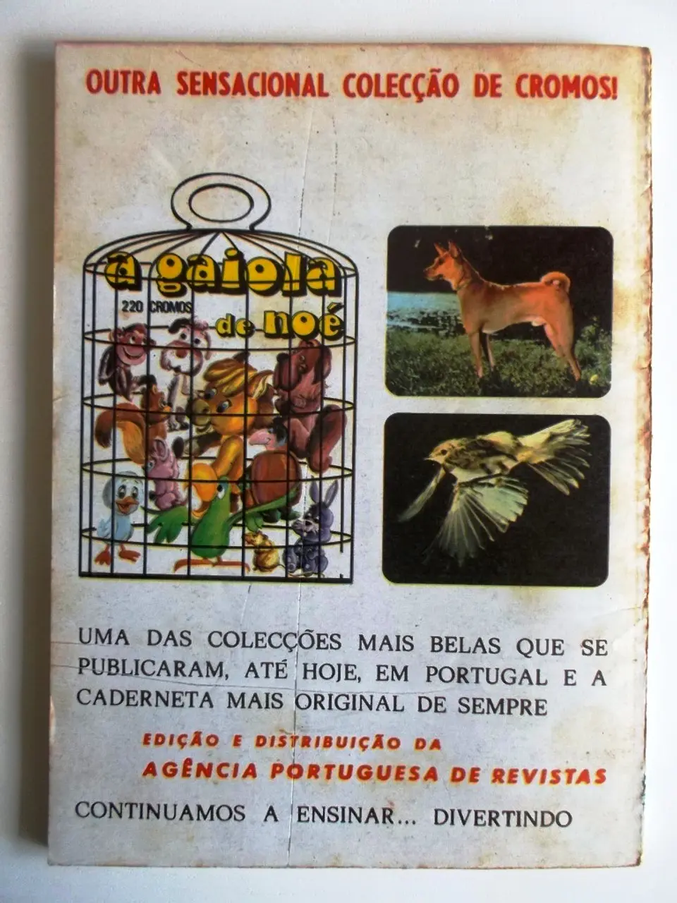 Colecção Águia 05 2
