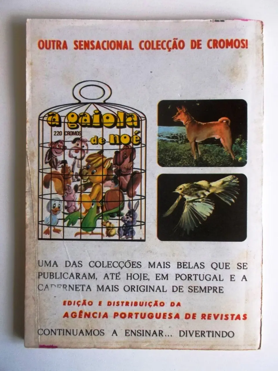 Colecção Águia 07 2