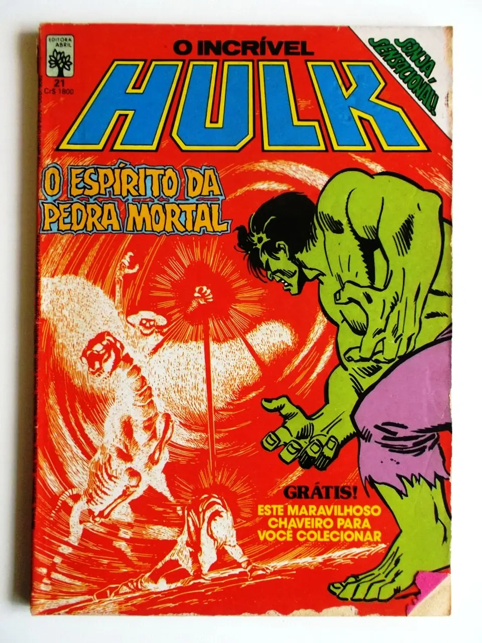 O Incrível Hulk 021 1