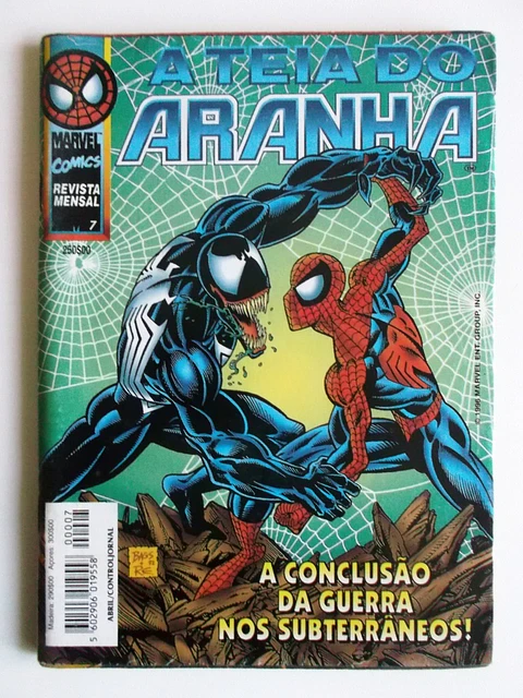 Teia do Aranha 07