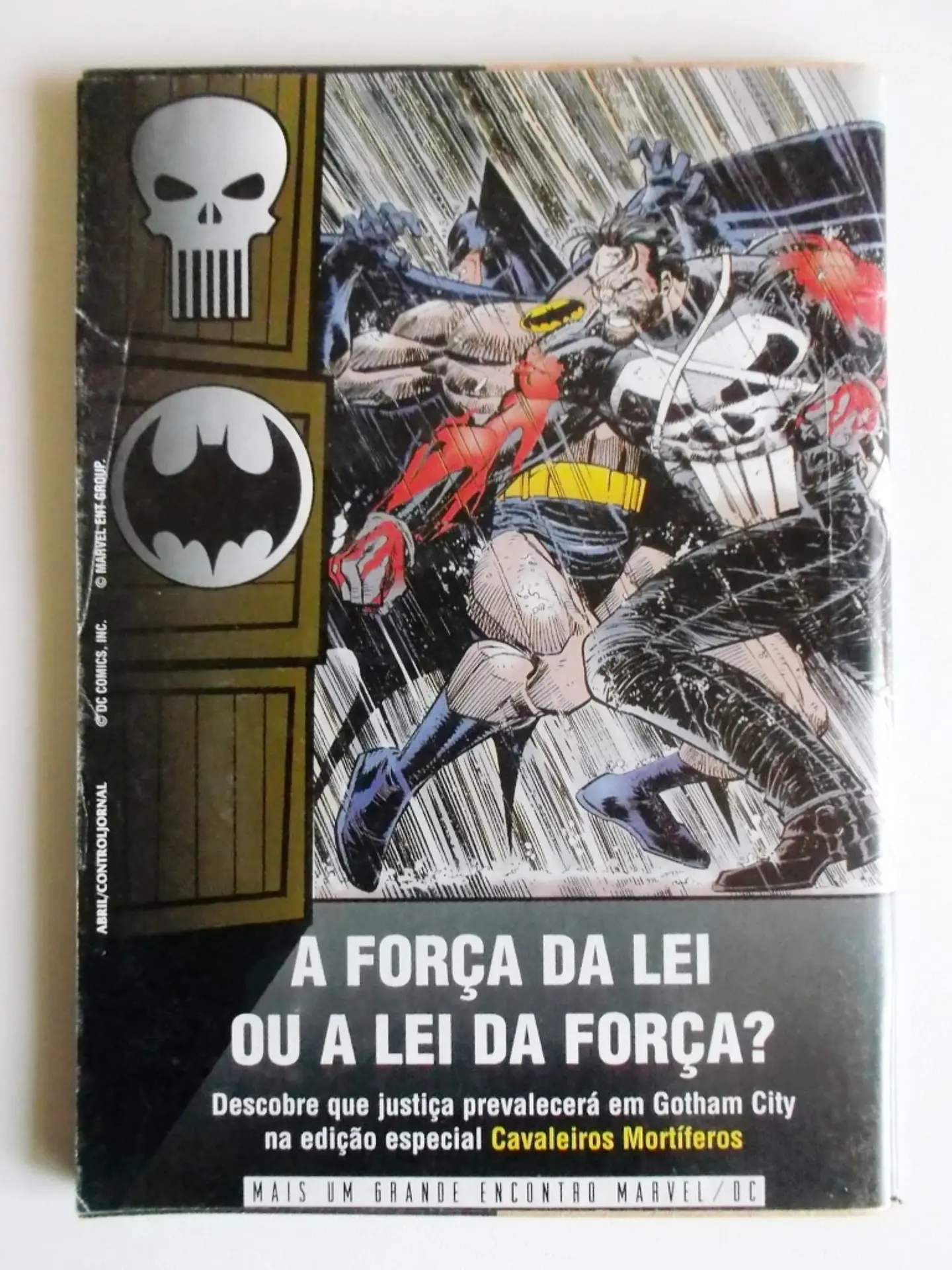 Teia do Aranha 07 2