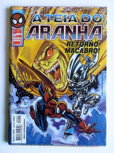 Teia do Aranha 05
