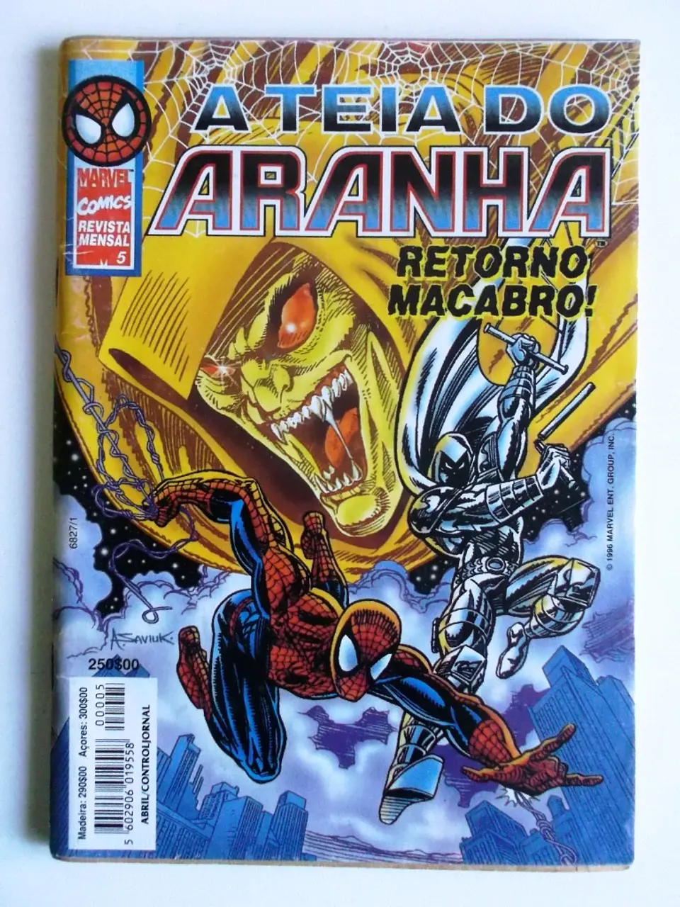 Teia do Aranha 05 1