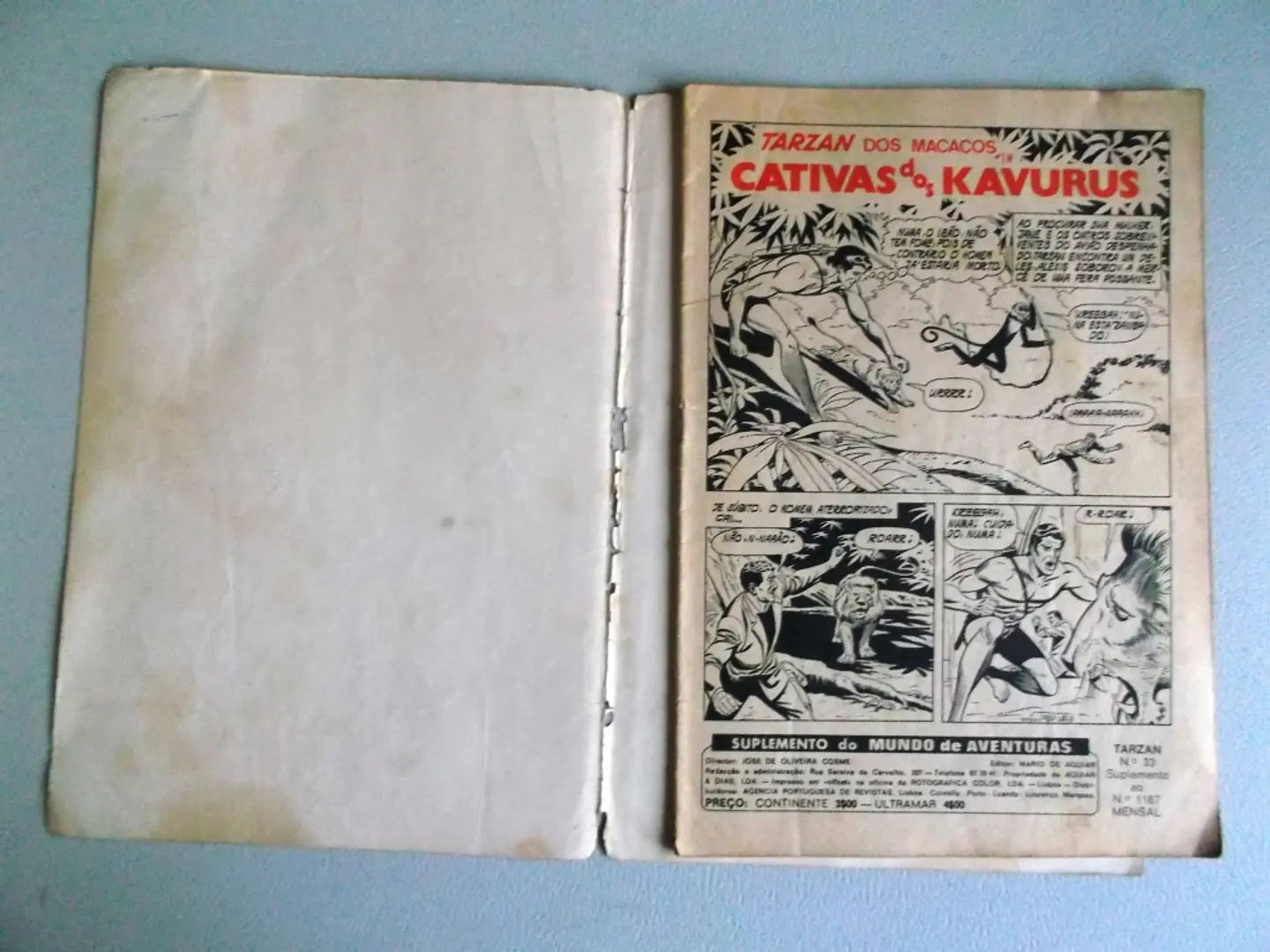 Tarzan 33 4