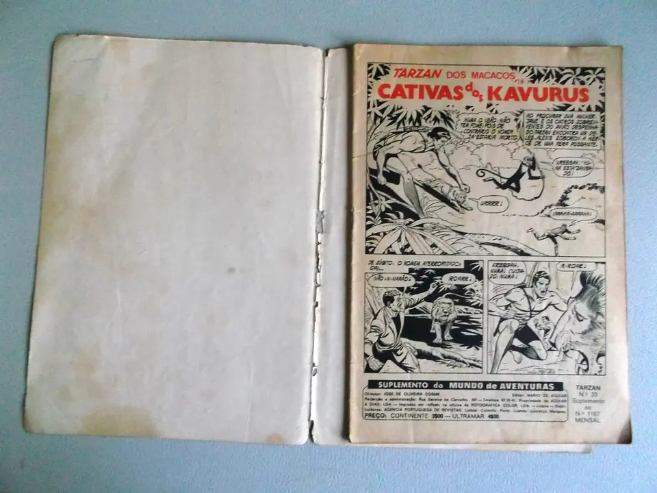 Tarzan 33 4
