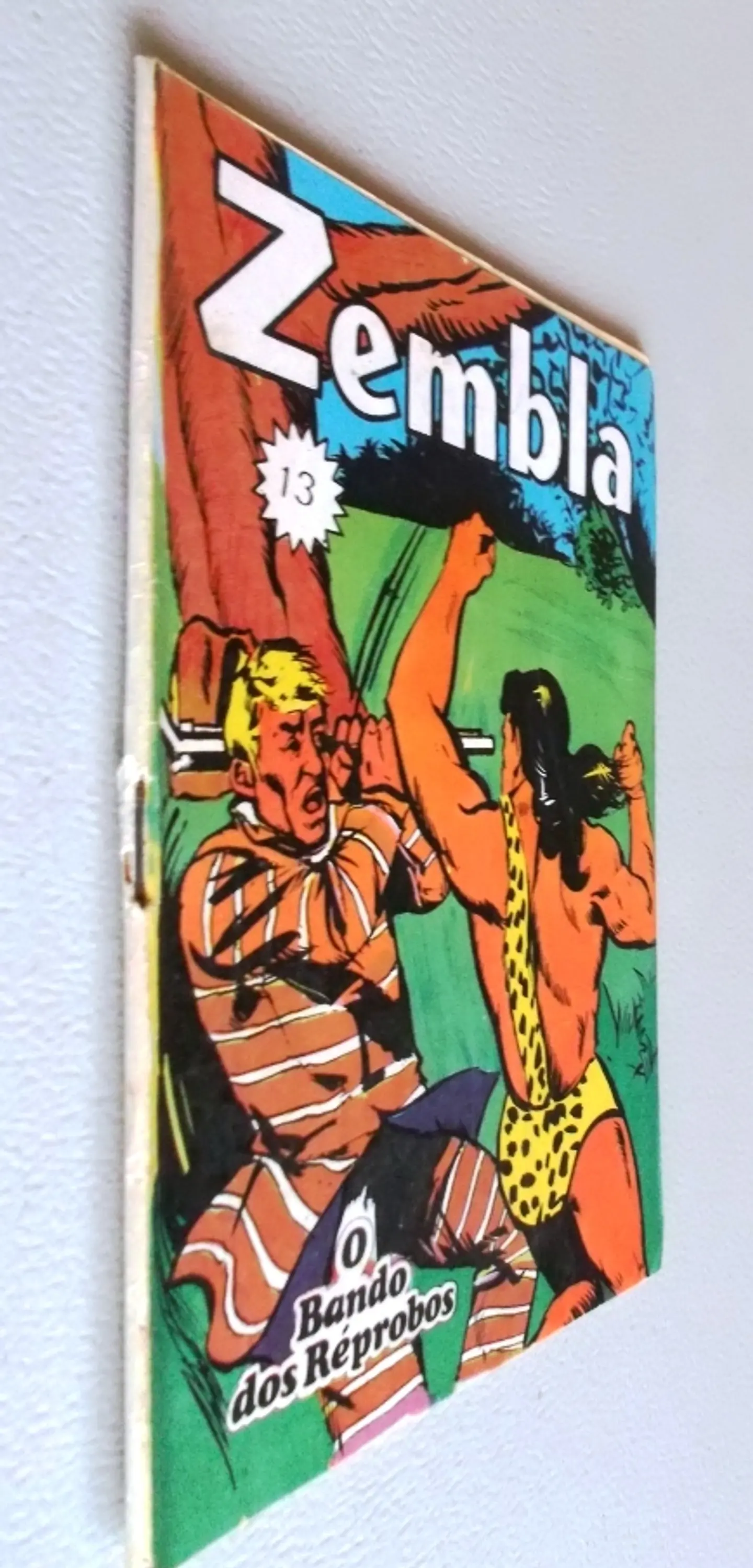 Zembla 13 3