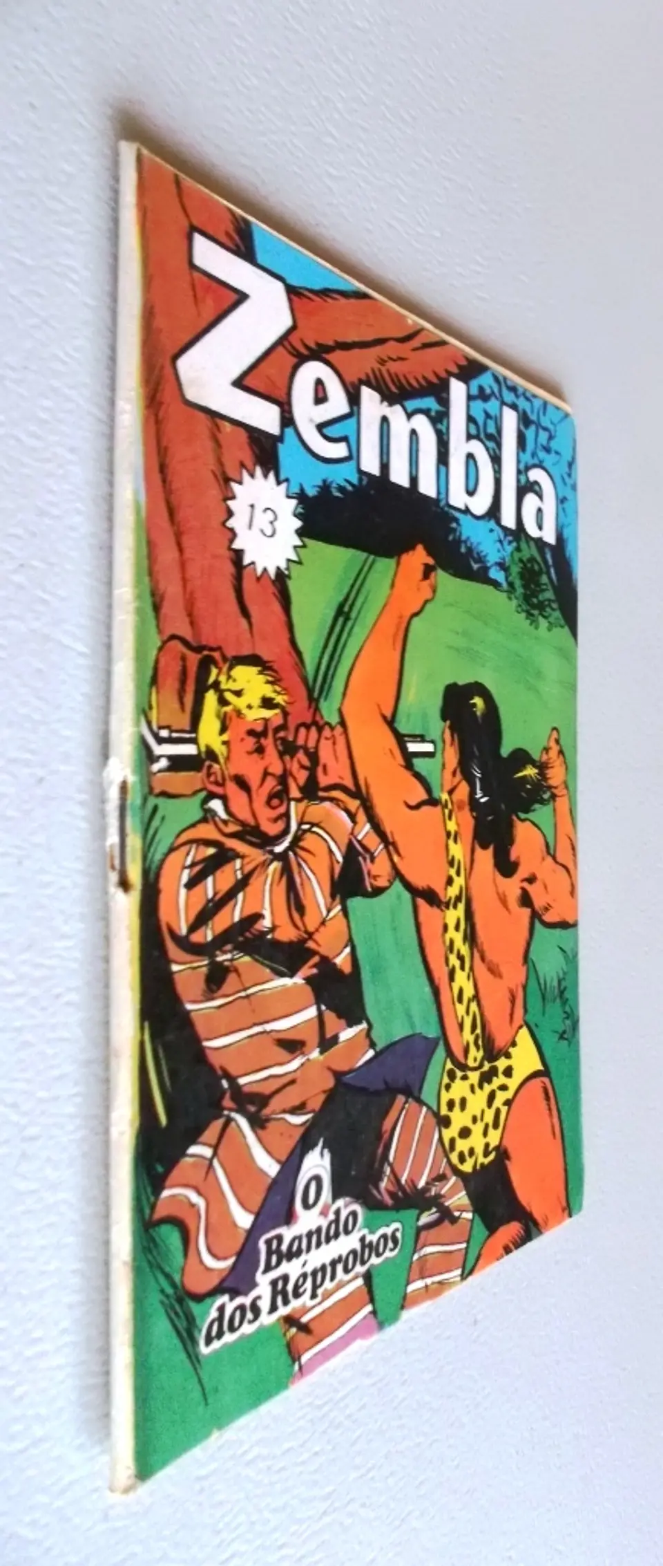 Zembla 13 3