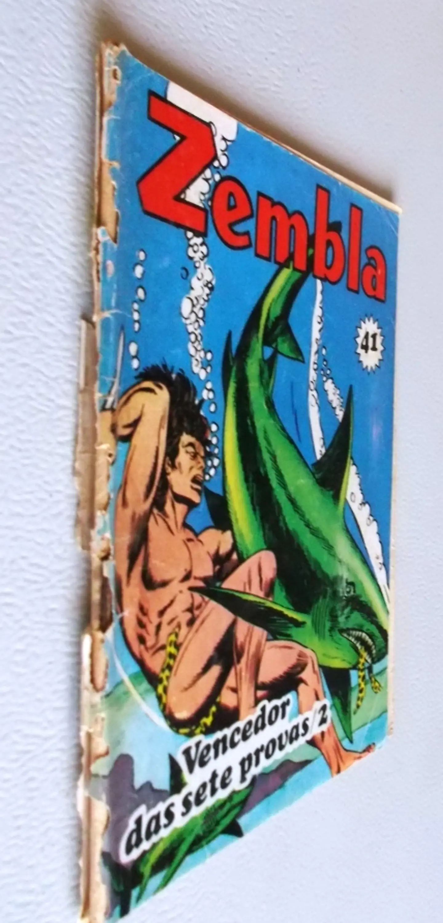 Zembla 41 3