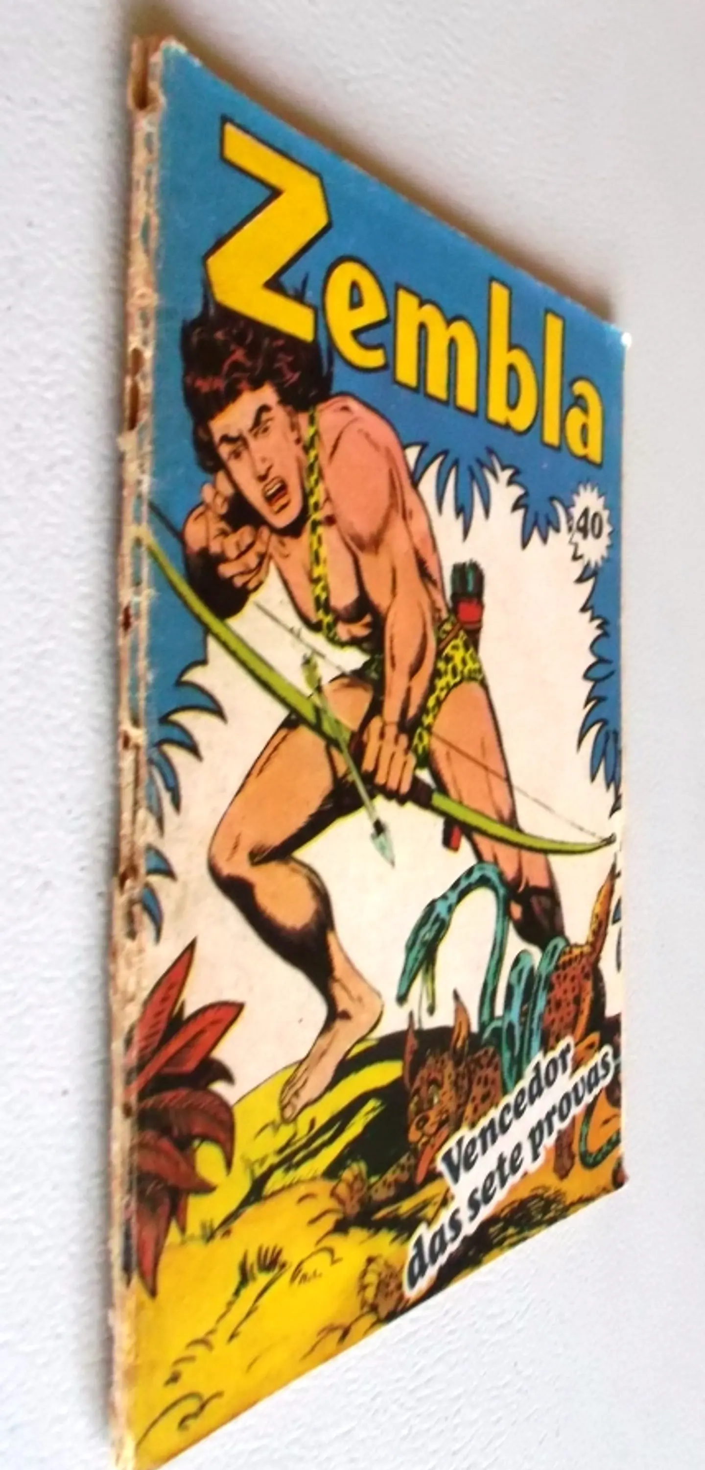 Zembla 40 3