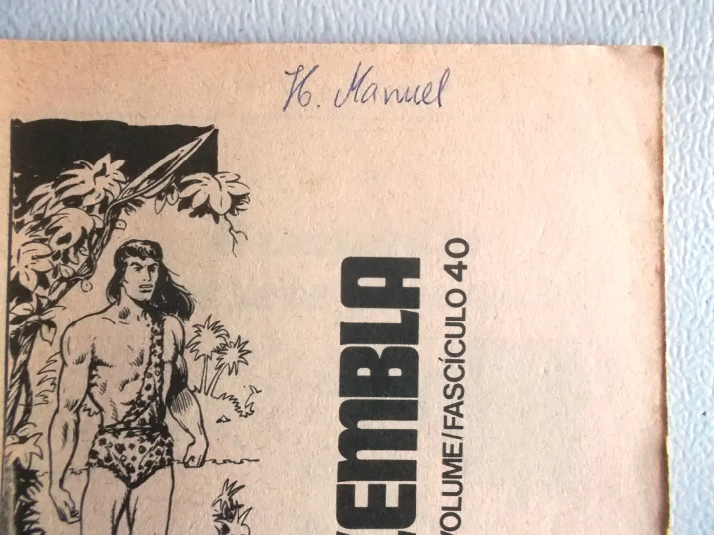 Zembla 40 4