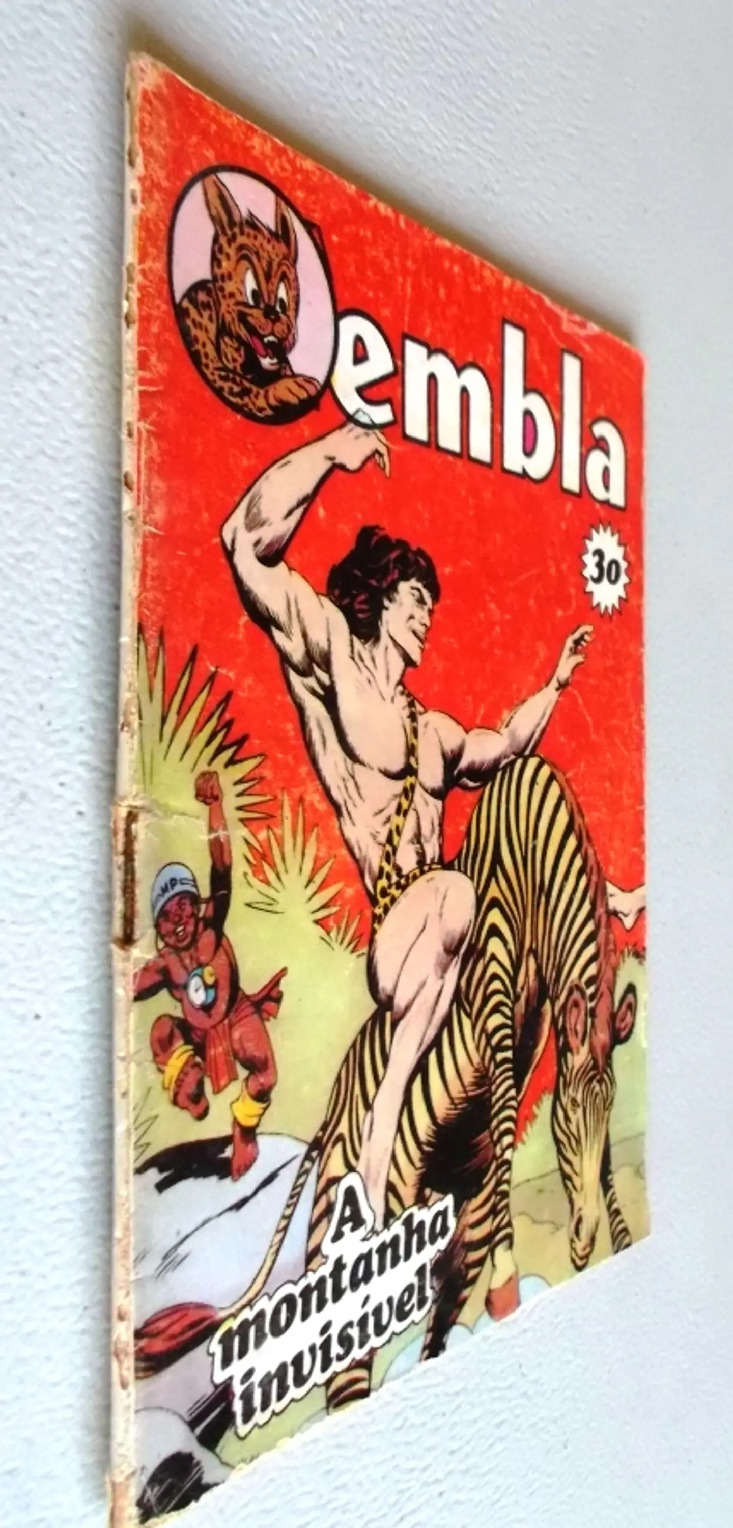 Zembla 30 3