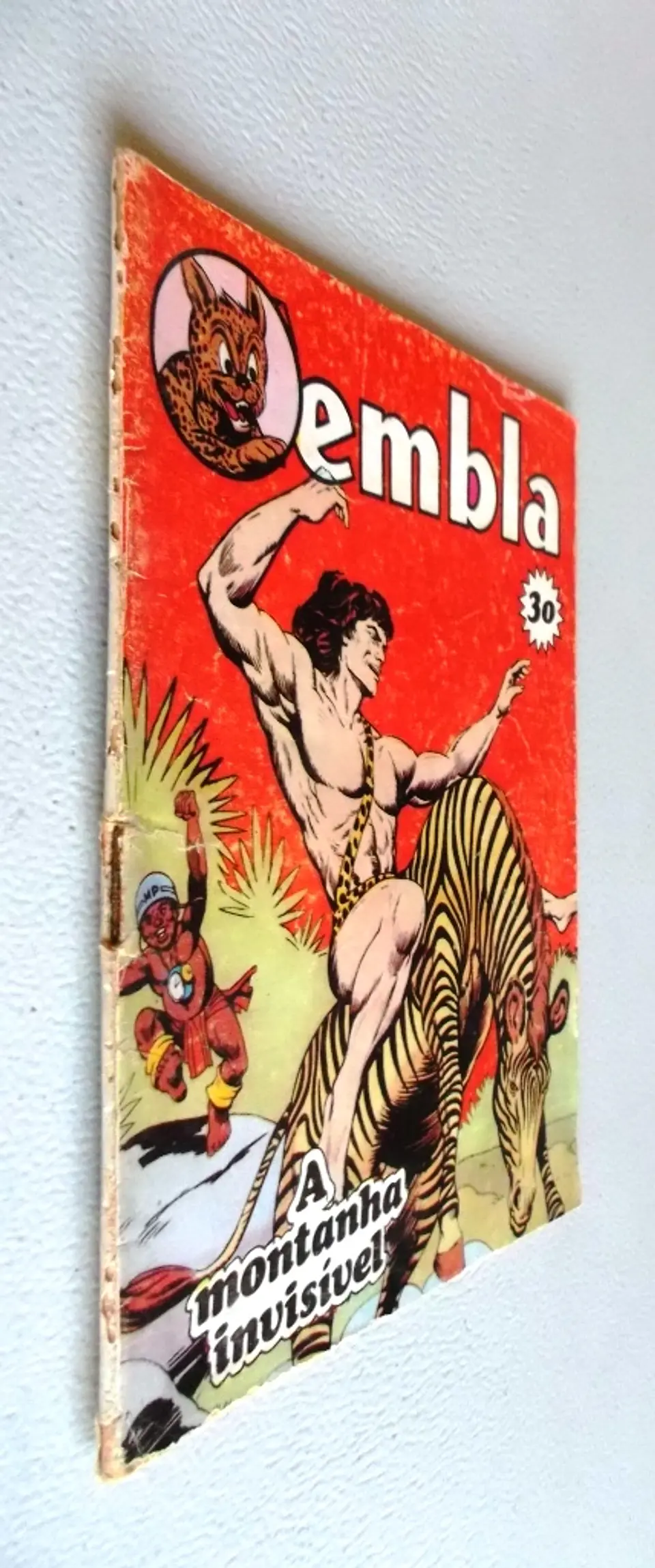 Zembla 30 3