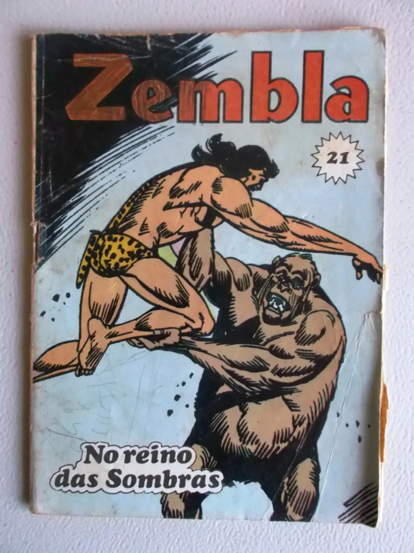 Zembla 21 1
