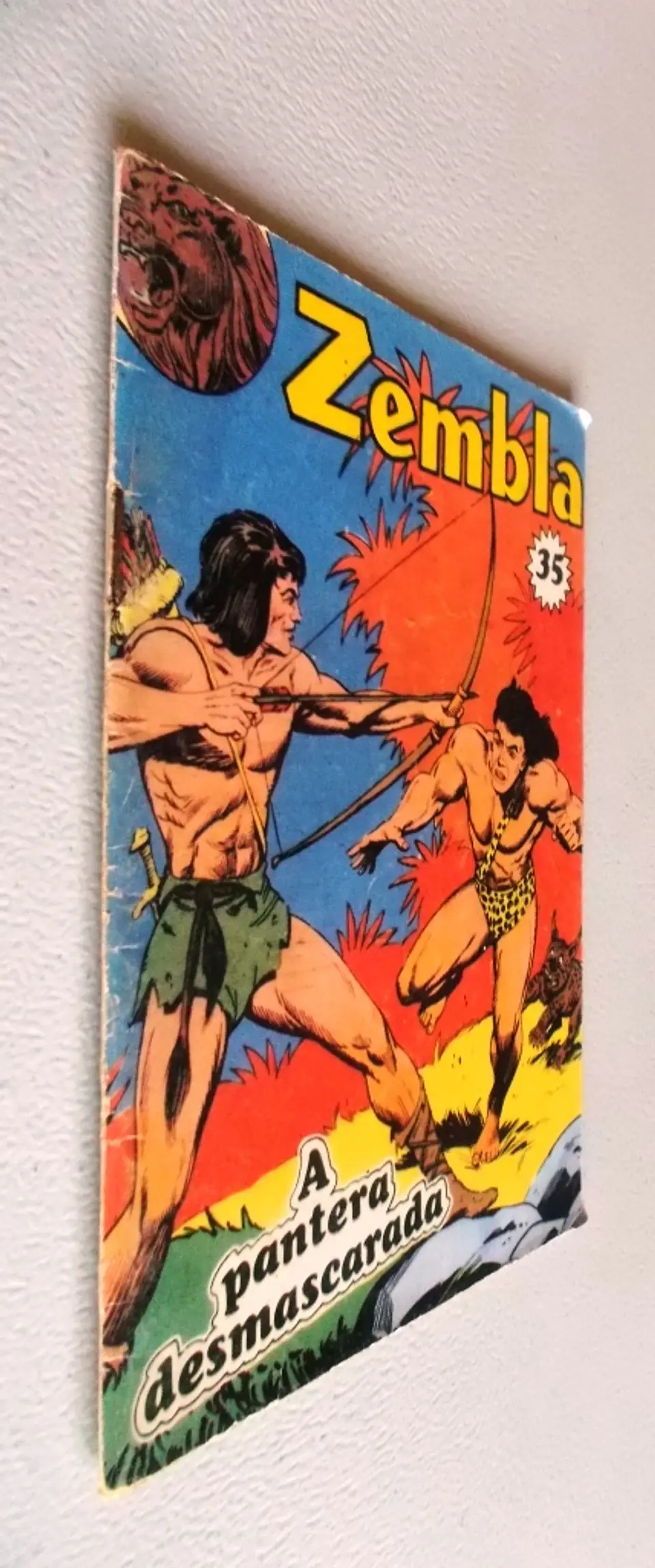 Zembla 35 3