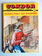Condor 503  - thumbnail 1