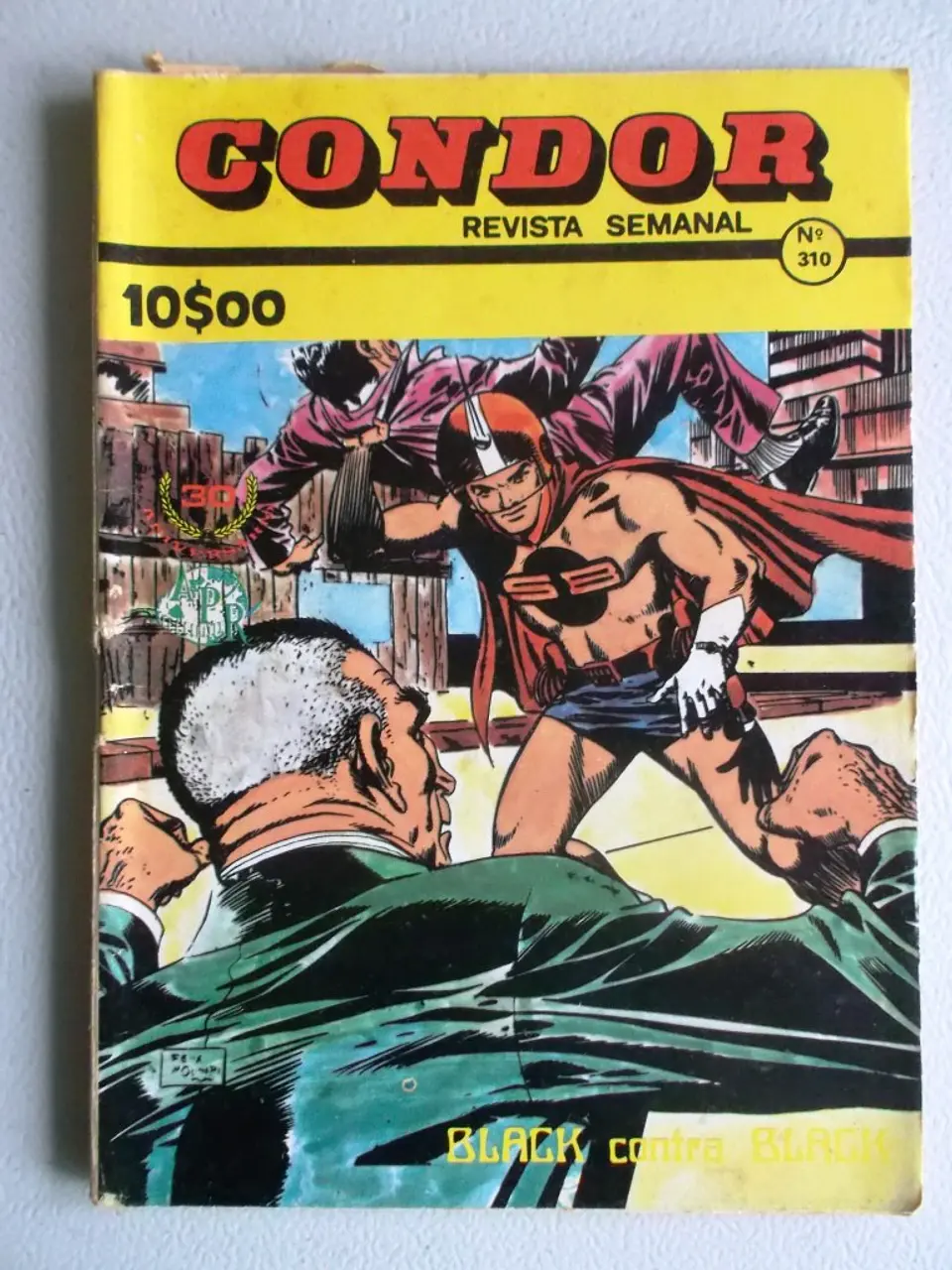 Condor 310 1