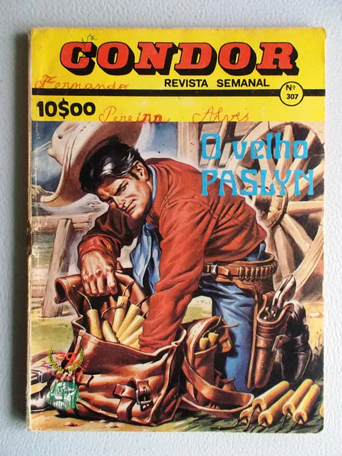 Condor 307
