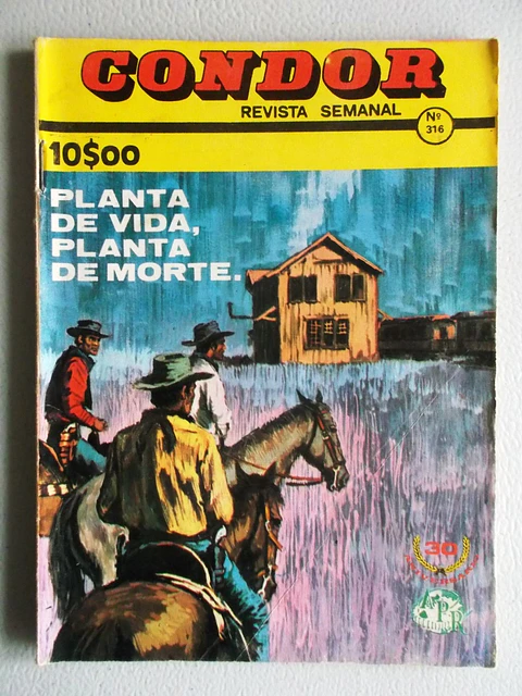 Condor 316