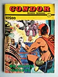 Condor 314 - thumbnail 1