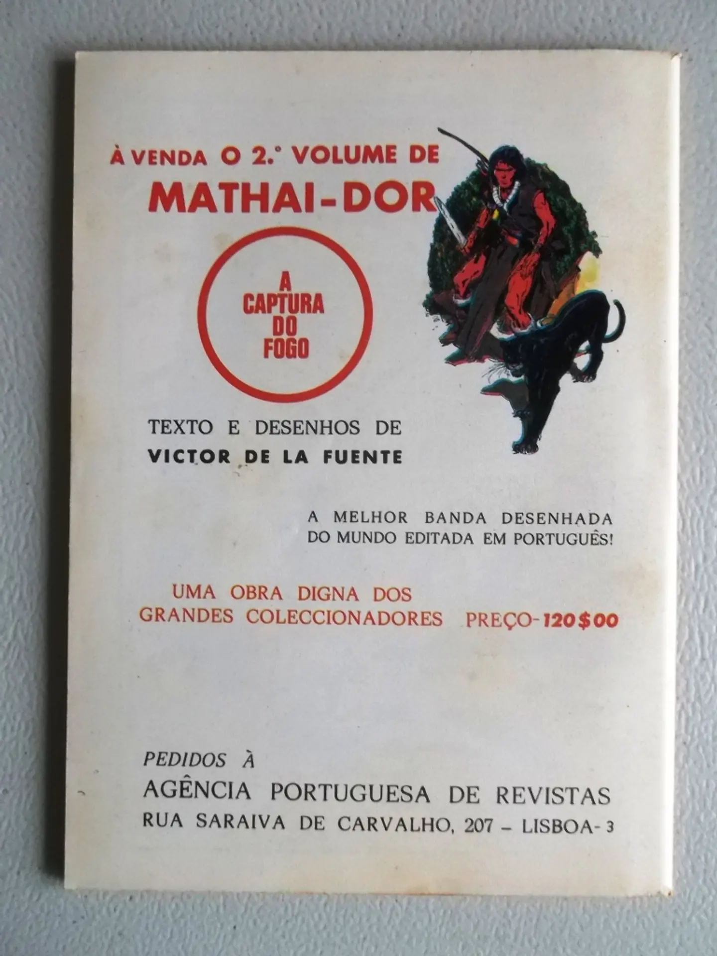Condor 304 2