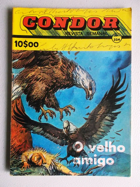 Condor 324