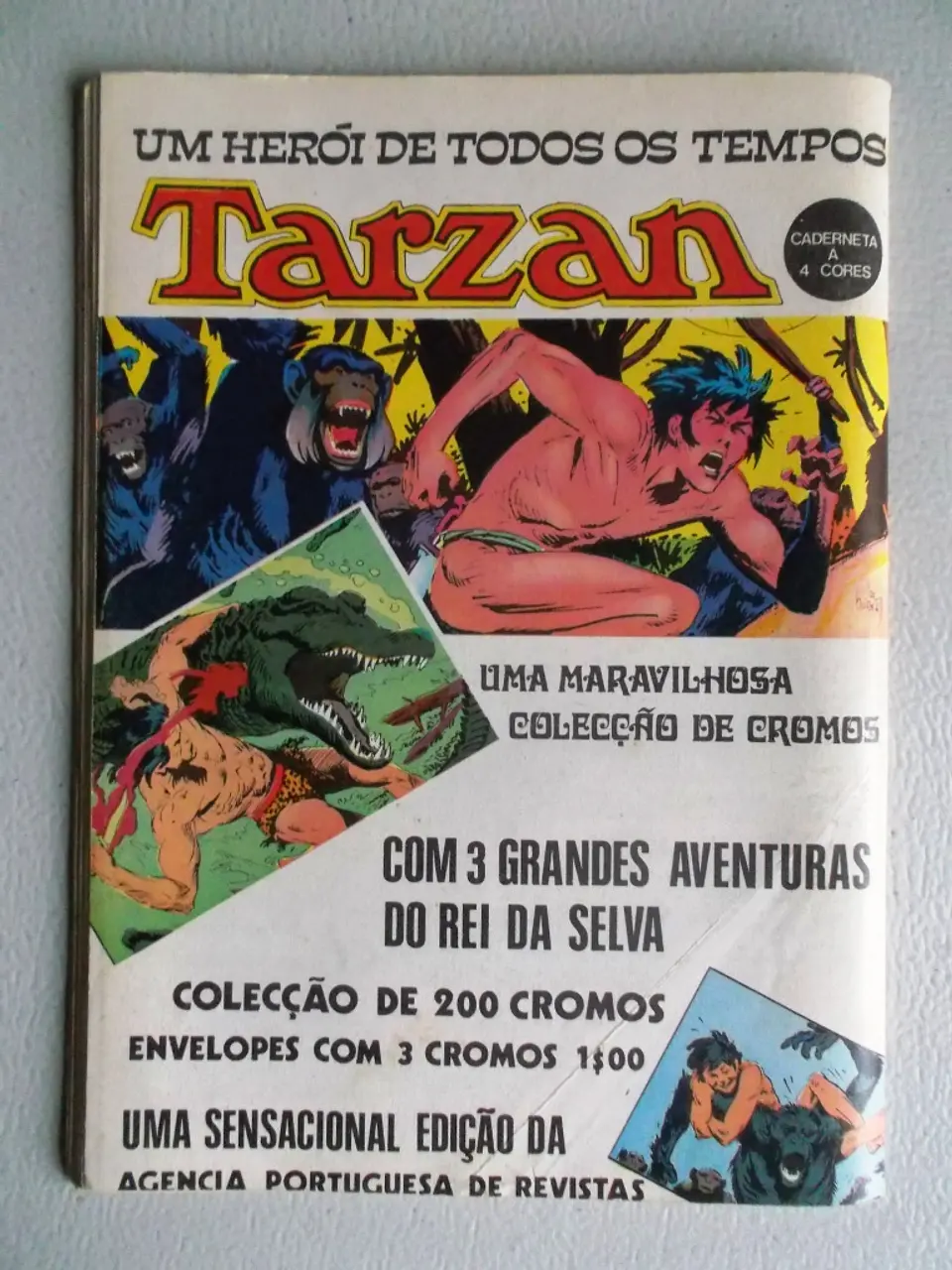Condor 224 2
