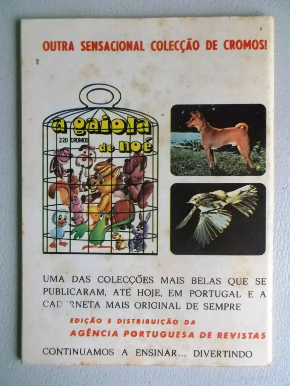 Condor 281 2